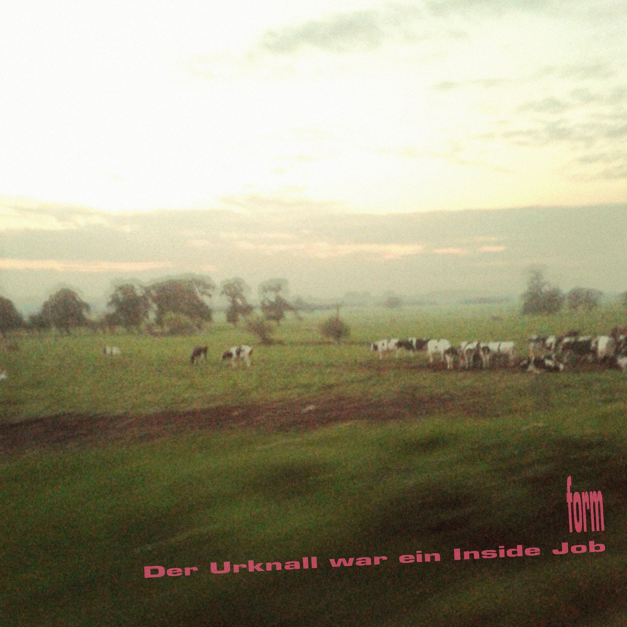 cover_form-der-urknall-war-ein-inside-job
